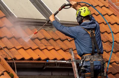 Démoussage et hydrofuge de toiture à Messimy